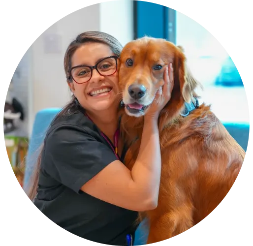 Dr. Laura - Veterinarian
